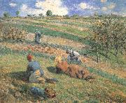 Camille Pissarro Field work china oil painting artist